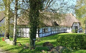 Birkelygaard Hårby