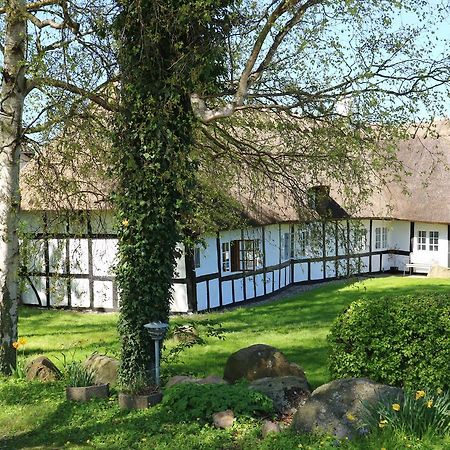 Birkelygaard Bed & Breakfast Hårby Eksteriør billede