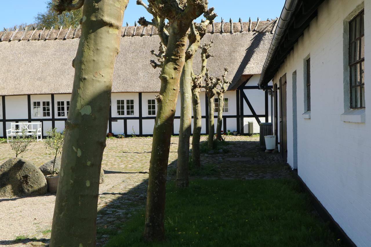 Birkelygaard Bed & Breakfast Hårby Eksteriør billede